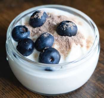 Probiotics, Cultivating Gut Health